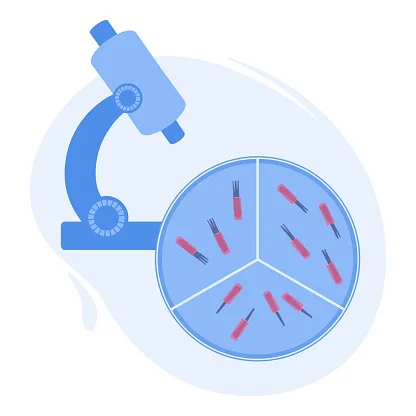 Frozen PLT, Hair follicle grafts cultivation for hair transplantation procedure. FUT and FUE alopecia treatment methods infographics. Medical vector illustration.